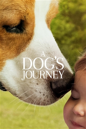 Dog's Journey