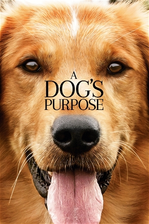 Dog's Purpose